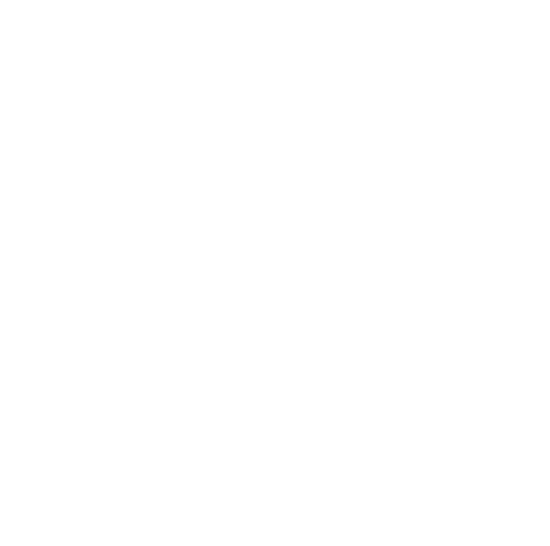 VIETNAM TALENT SCHOOL